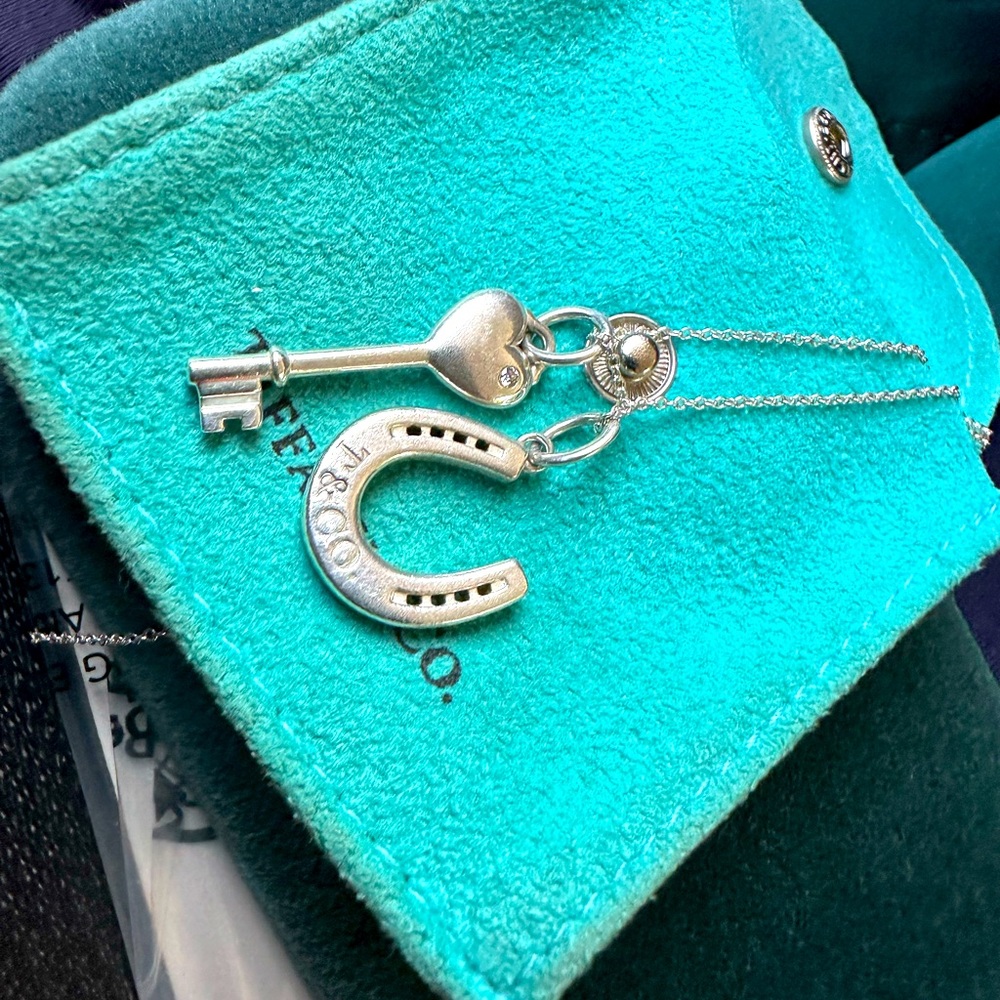 Gently used Tiffany Necklace with charms